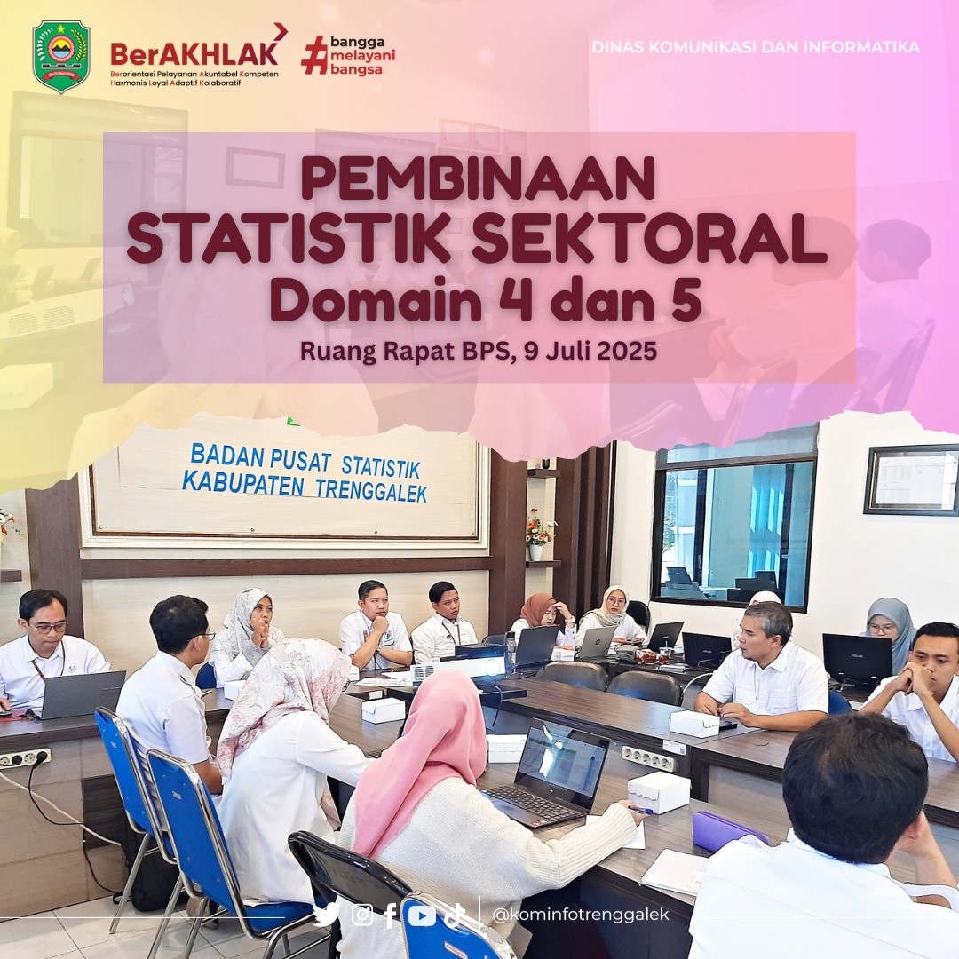 Pembinaan Statistik Sektoral Domain 4 dan Domain 5