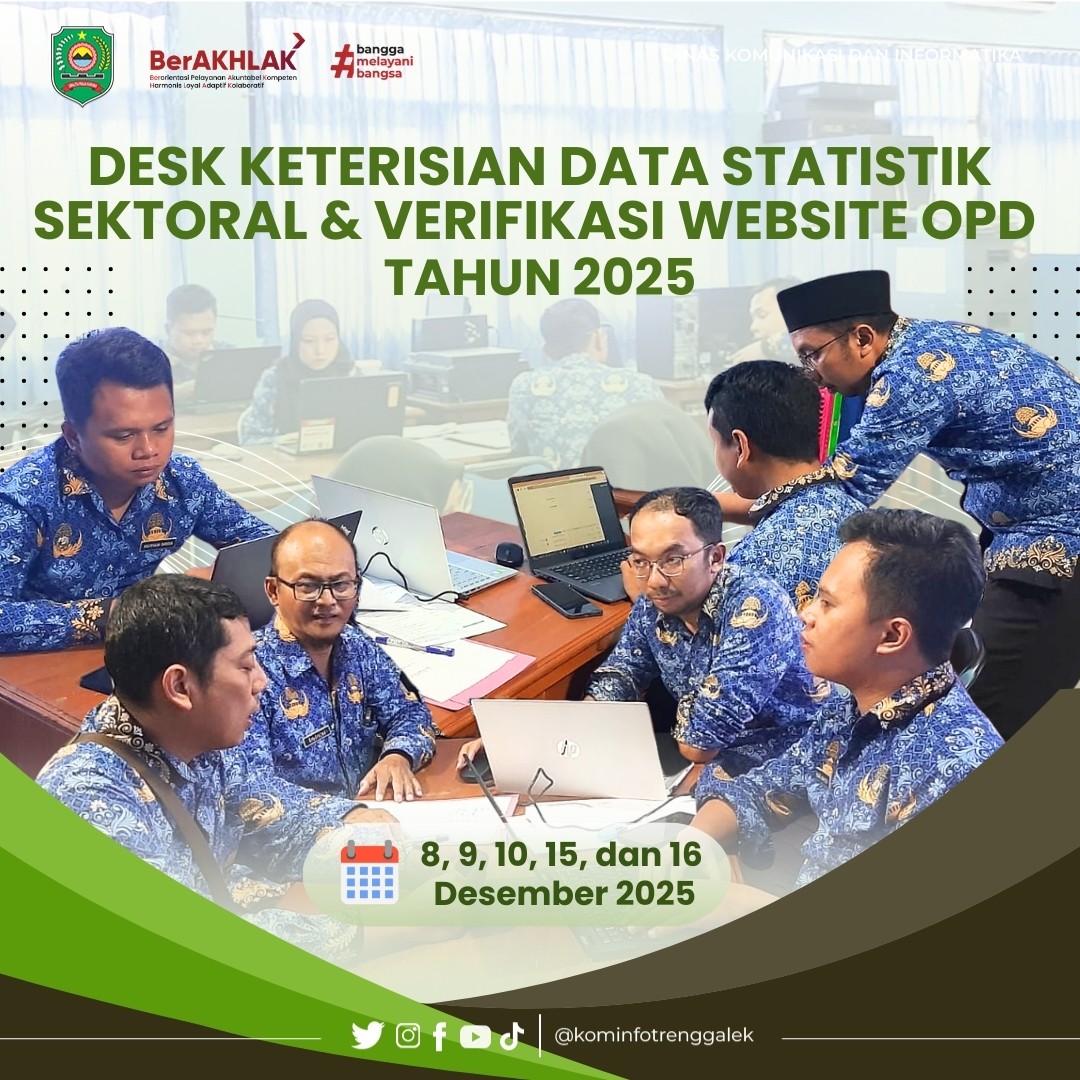 Dinas Kominfo Melaksanakan Desk Keterisian Data Statistik Sektoral Tahun 2025 dan Verifikasi Website OPD